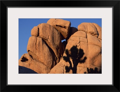 Eroded monzogranite rock at Joshua Tree National Park, California