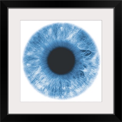 Eye, negative image, with blue-green iris