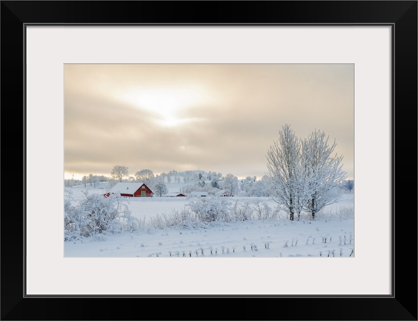 Farm In A Rural Winter Landscape With Snow And Frost