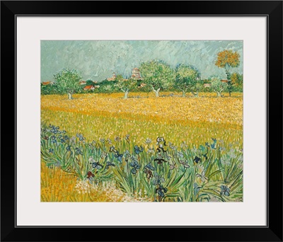 Field With Irises Near Arles By Vincent Van Gogh