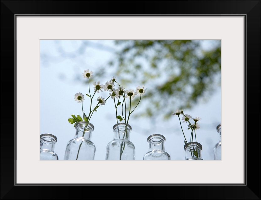 Low angle, horizontal photograph of a line of clear bottles, several with branches of small flowers in them, beneath a lig...