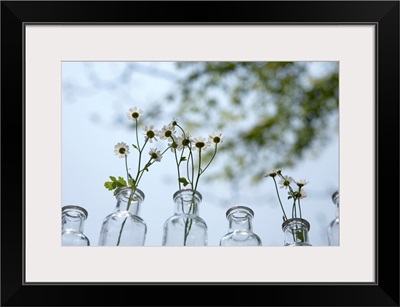 Flowers in antique glass bottle vases, outdoors, close-up