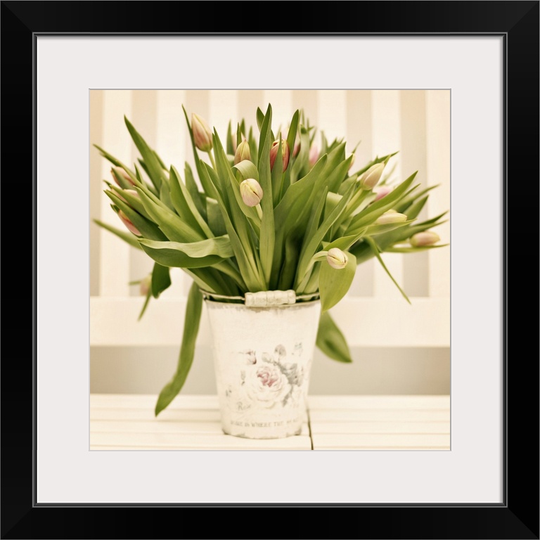 Fresh tulips presented in vintage plant bucket at home.