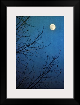 Full moon in deep blue sky framed by bare branches in silhouette of leafless tree.