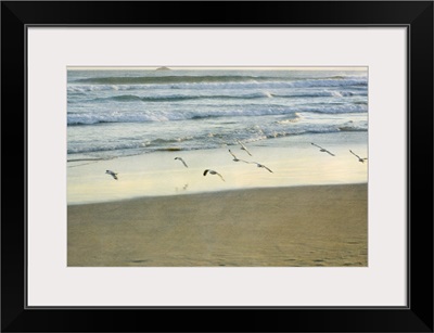 Gulls flying beside sea.