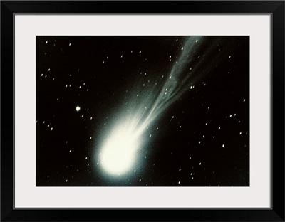 Halleys Comet
