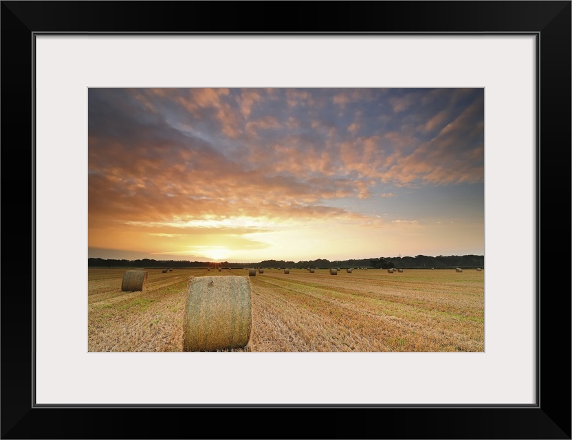 Hay bale field pictured during summer's sunrise, near Christchurch, Dorset, UK.