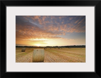 Hay bale field pictured during summer's sunrise, near Christchurch, Dorset, UK.