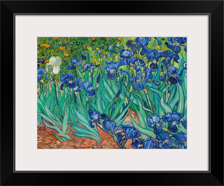 Vincent van Gogh (French, 1853 - 1890), Irises, 1889, oil on canvas, 71.1 x 93 cm (27.9 x 36.6 in), The J. Paul Getty Muse...