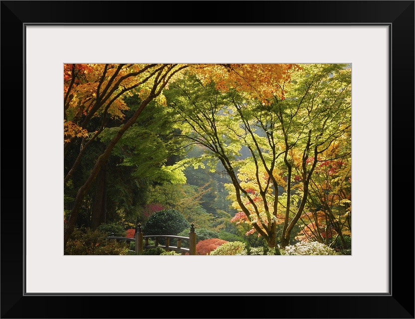 Autumn colors in Portland's Japanese Garden, perhaps one of the most authentic outside of Japan.