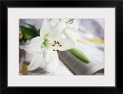 Lilies on open Bible