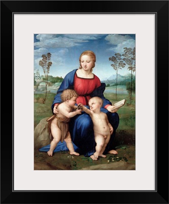 Madonna Del Cardellino (Madonna Of The Goldfinch) By Raphael