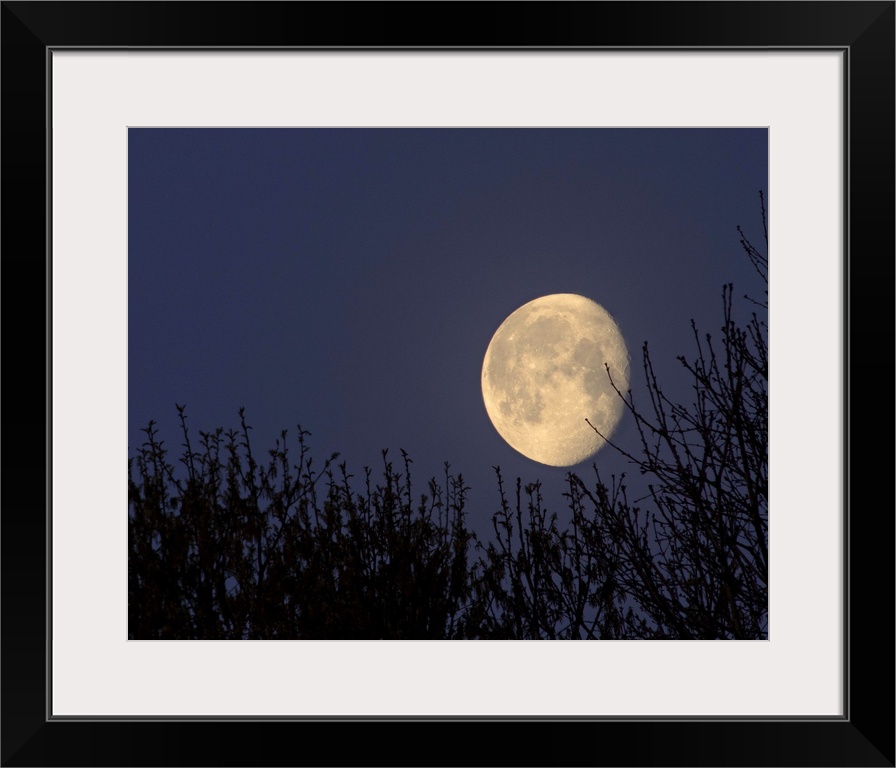 Moon setting in North Carolina