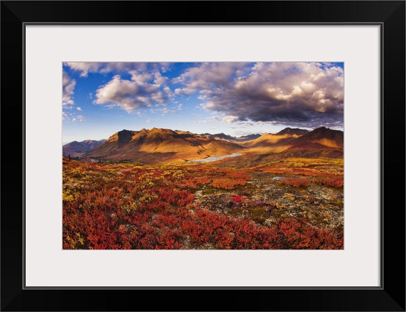 Mountains In Fall Colors