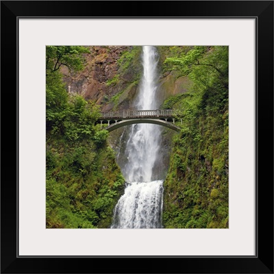 Multnomah Waterfall at Oregon. Columbia River Gorge with green lush and footbridge.