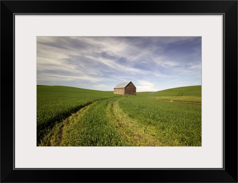 Old Barn In Wheat Field