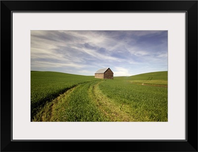 Old Barn In Wheat Field