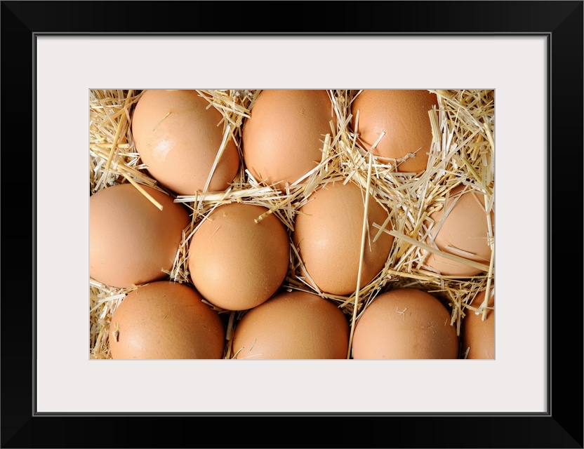 Organic eggs in straw