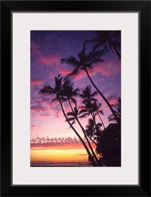 Palm trees along coastline silhouetted by a colorful sunset sky.