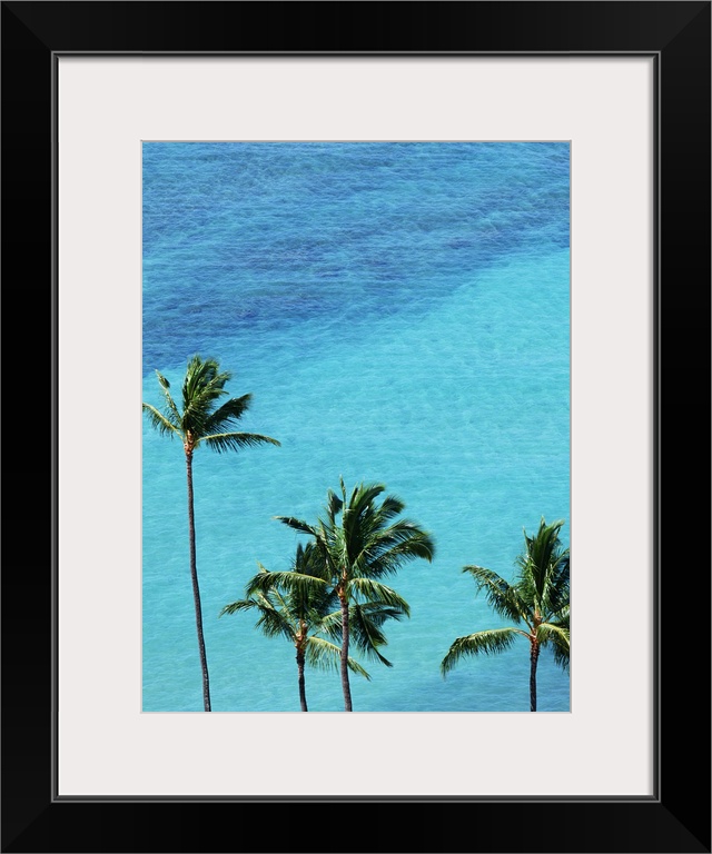 Palm trees and surface of the sea