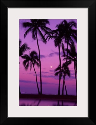 Palm trees with moon in a bright pink and purple sky, reflecting on still water.