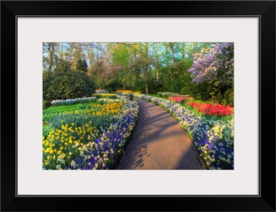 Pathway In Kuekenhof Gardens With Hyacinths, Daffodils, Tulips, Holland
