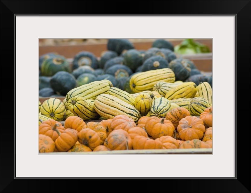 Pumpkins and squash on display at farmer's market