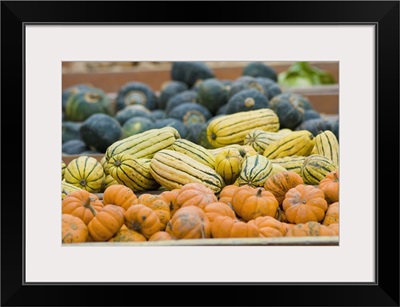 Pumpkins and squash on display at farmer's market