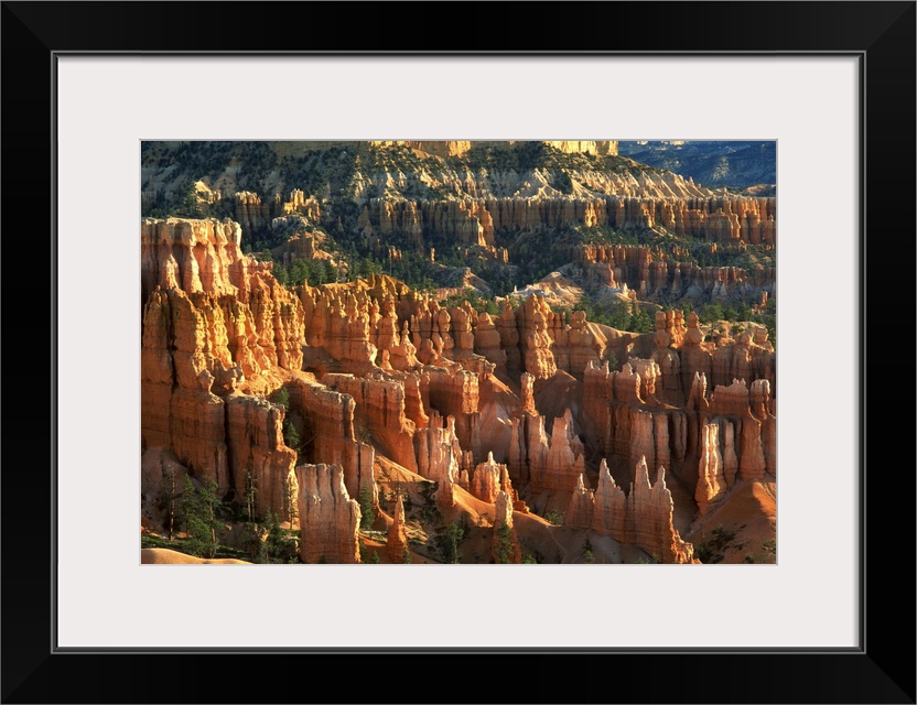 Queens Garden Hoodoos at sunrise