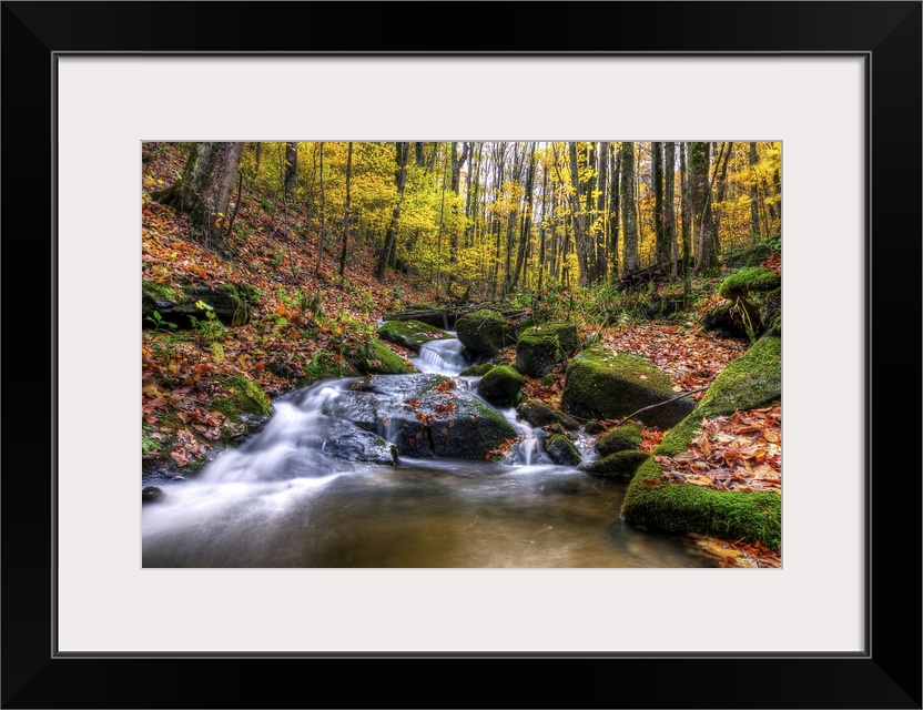 Beautiful stream cascades through forest in autumn, Roan Mountain.