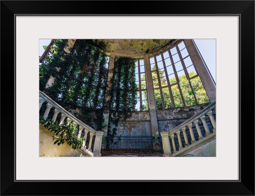 Ruins Of An Overgrown Staircase