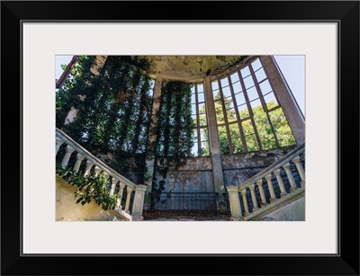 Ruins Of An Overgrown Staircase