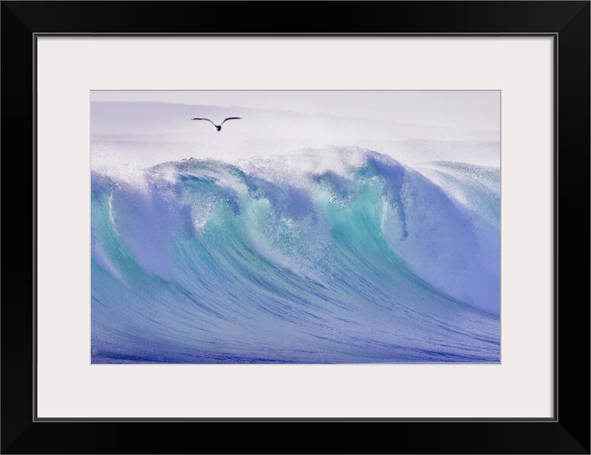Large photo on canvas of a big wave about to crash with a seagull flying above.