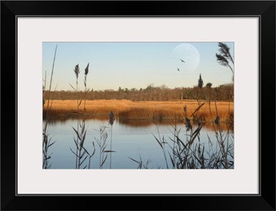 Seascape of marshlands in northeast of United States.