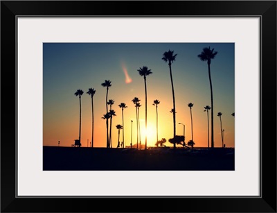 Silhouette of palm trees at sunset.