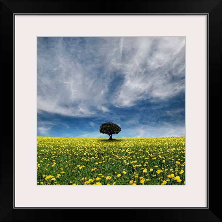 Single tree in middle of flower lawn and stormy cloud.