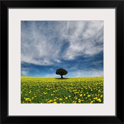 Single tree in middle of flower lawn and stormy cloud.