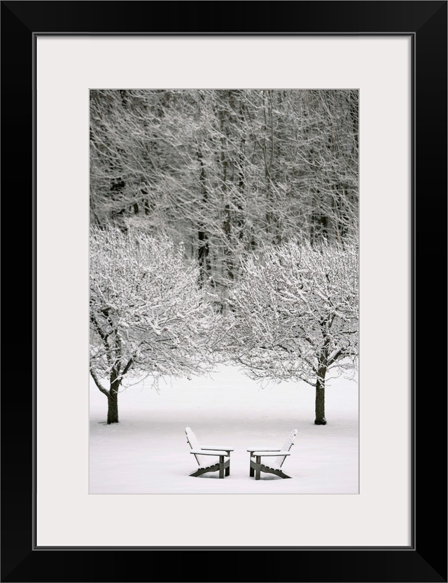 Snow Covered Landscape