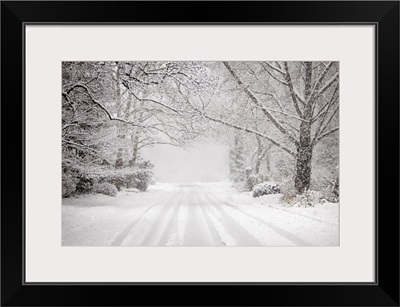 Snowy road in snow storm