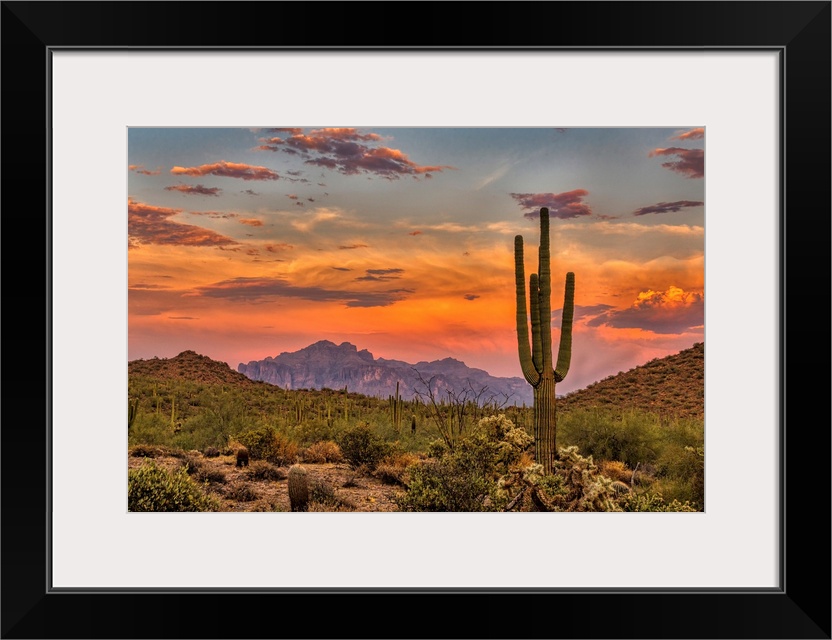 Sunset in the Sonoran Desert near Phoenix, Arizona.