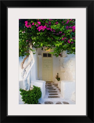 Storefront With Colorful Bougainvillea