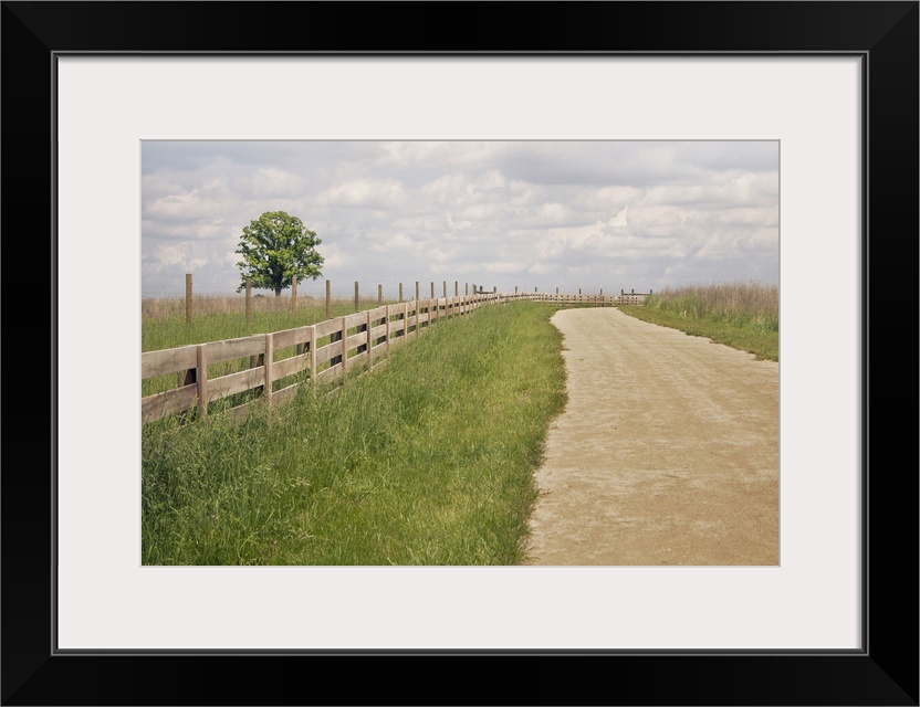 Sunny summer afternoon in park with path against sky.