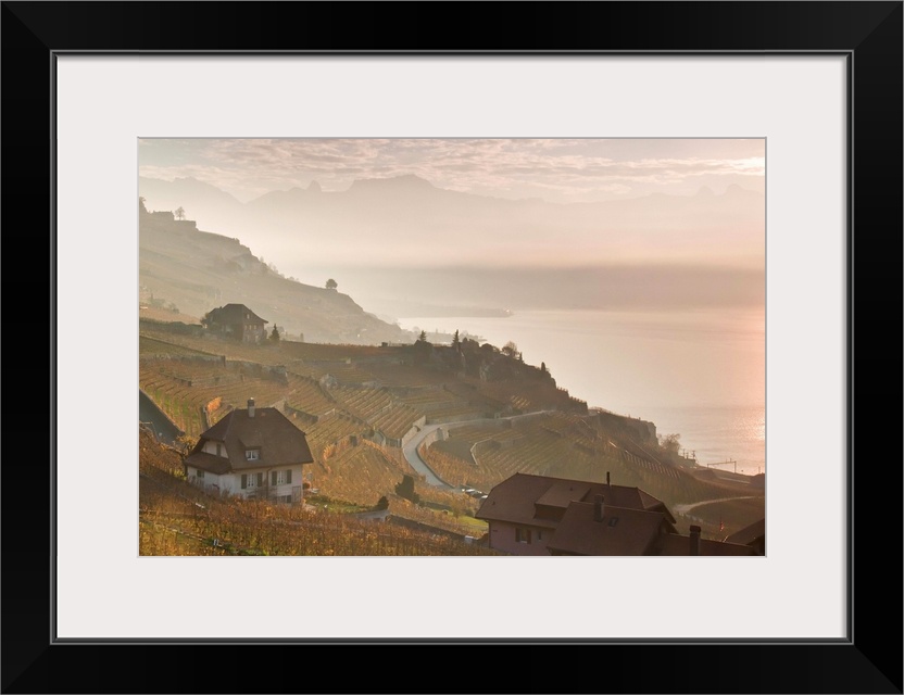 Sunrise at Lavaux vineyard terraces in western Switzerland.