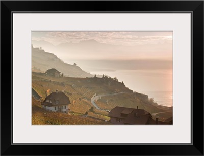 Sunrise at Lavaux vineyard terraces in western Switzerland.