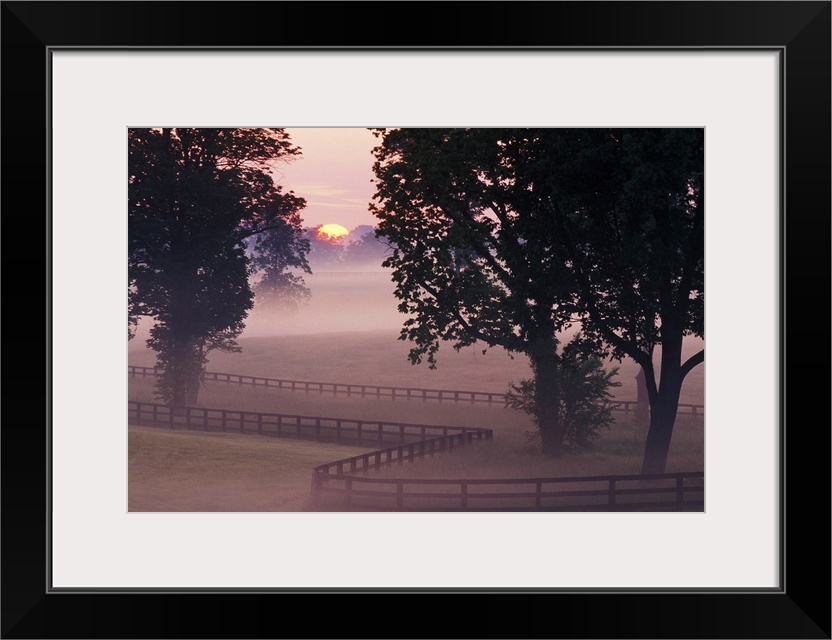 Sunrise on horse farm, Versailles, Kentucky, USA