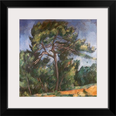 Tall Pine By Paul Cezanne