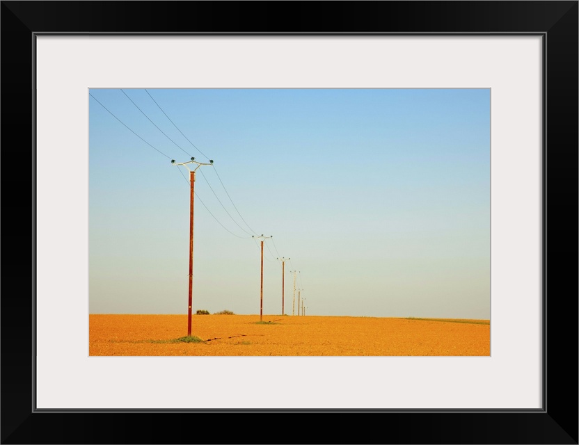 Telephone poles in field.