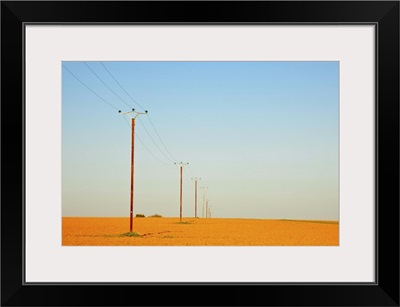 Telephone poles in field.