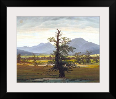 The Solitary Tree (Village Landscape In Morning Light) By Caspar David Friedrich