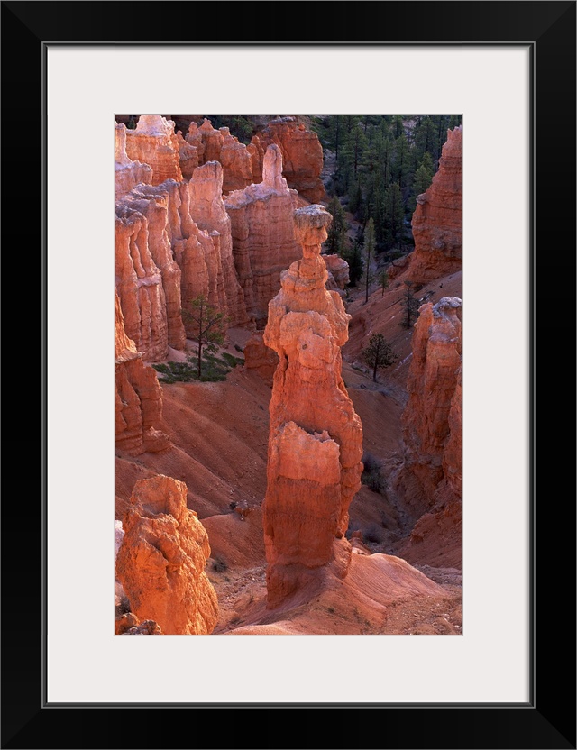 Thor's Hammer hoodoo on Navajo Trail